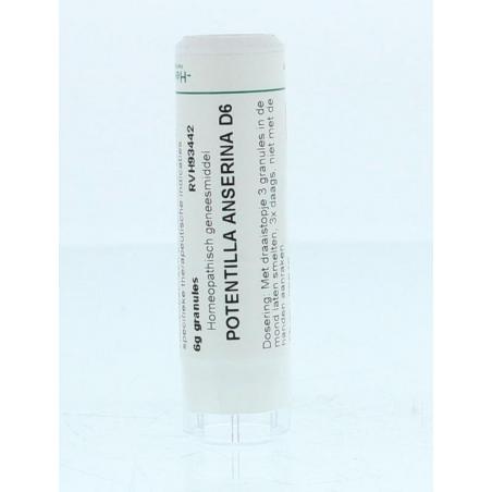 Potentilla anserina D6 van Homeoden Heel