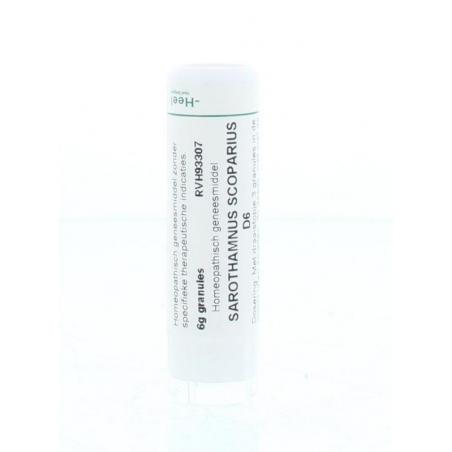 Sarothamnus scoparius D6 van Homeoden Heel