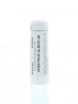 Kreosotum D6 van Homeoden Heel