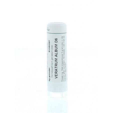 Veratrum album D6 van Homeoden Heel