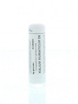 Mezereum D6 van Homeoden Heel