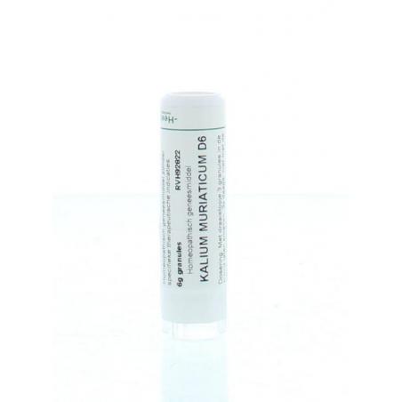 Kalium muriaticum D6 van Homeoden Heel