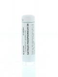 Natrium phosphoricum D6 van Homeoden Heel