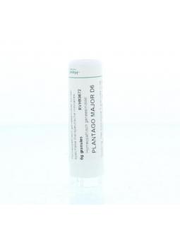 Conium maculatum D30 van Homeoden Heel