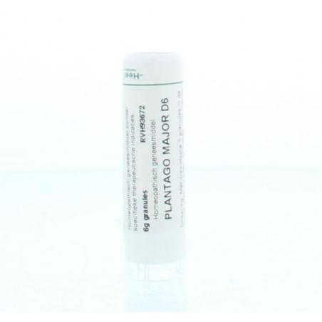 Plantago major D6 van Homeoden Heel