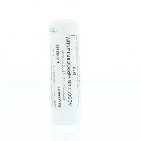 Aesculus hippocastanum D12 van Homeoden Heel