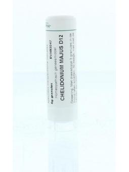 Aconitum napellus D10 van Homeoden Heel