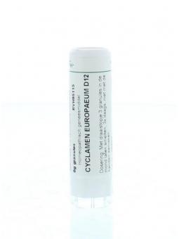 Pulsatilla pratensis D6 van Homeoden Heel