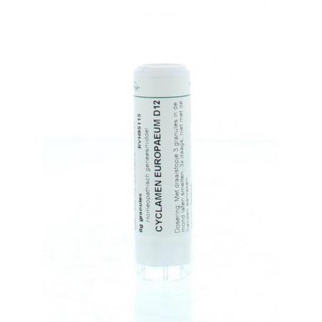 Cyclamen europaeum D12 van Homeoden Heel