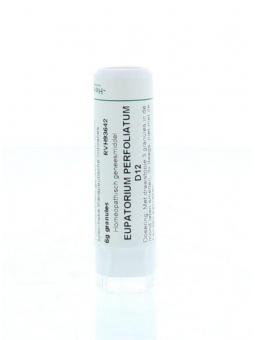 Chamomilla D6 van Homeoden Heel