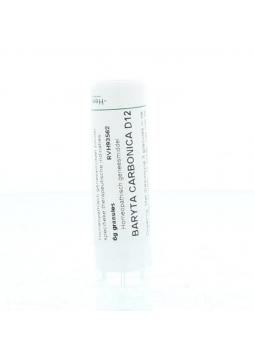 Ledum palustre D6 van Homeoden Heel