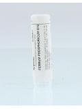 Ferrum phosphoricum D12 van Homeoden Heel