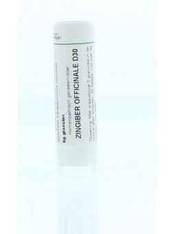 Hamamelis virginiana 30K van Homeoden Heel