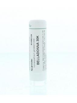 Taraxacum officinale D6 van Homeoden Heel