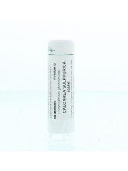 Lycopodium clavatum MK van Homeoden Heel