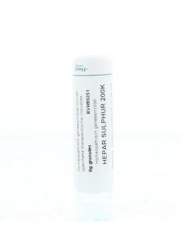 Iris versicolor D12 van Homeoden Heel