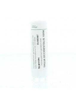 Sulphur 200K van Homeoden Heel