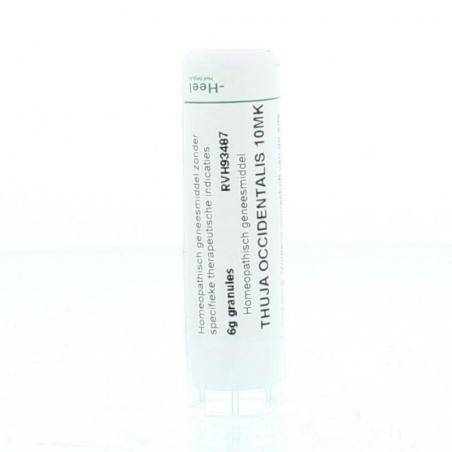 Thuja occidentalis 10MK van Homeoden Heel