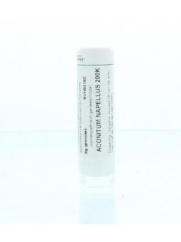 Ignatia amara D12 van Homeoden Heel