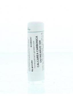 Chamomilla D6 van Homeoden Heel