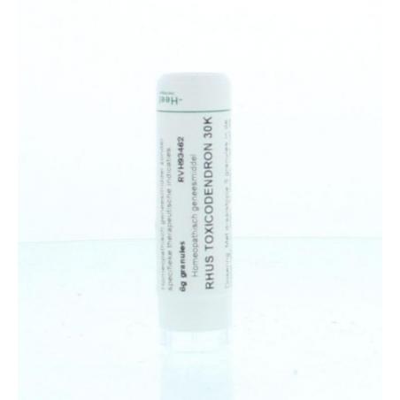 Rhus toxicodendron 30K van Homeoden Heel