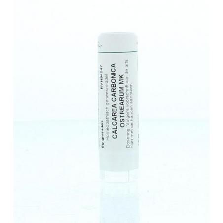 Calcarea carbonica ostrearum MK van Homeoden Heel