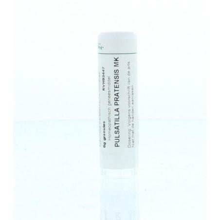 Pulsatilla pratensis MK van Homeoden Heel