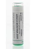 Arnica montana 200K van Homeoden Heel
