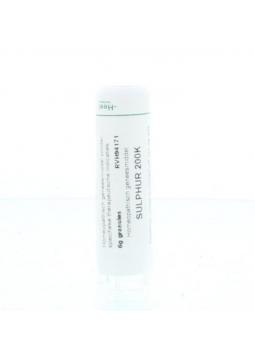 Lycopodium clavatum D6 van Homeoden Heel