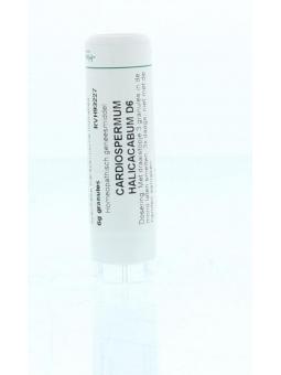 Causticum 12CH van Homeoden Heel