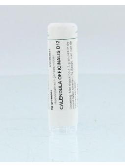 Iris versicolor D12 van Homeoden Heel