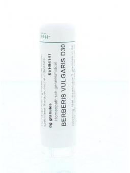 Phosphoricum acidum D30 van Homeoden Heel