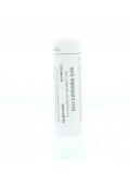 Dulcamara D30 van Homeoden Heel