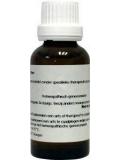 Thuja occidentalis D8 van Homeoden Heel