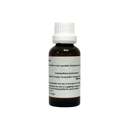 Thuja occidentalis D8 van Homeoden Heel