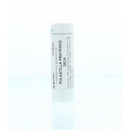 Pulsatilla pratensis 30CH van Homeoden Heel