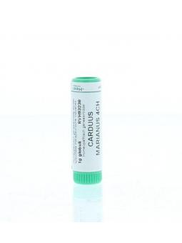 Arnica montana LM3 van Homeoden Heel