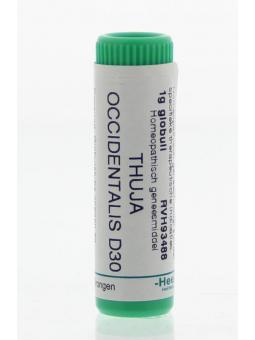 Aesculus hippocastanum D6 van Homeoden Heel