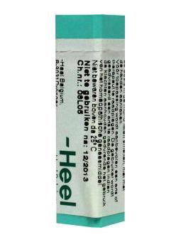 Arnica montana D30 van Homeoden Heel