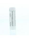 Ammonium muriaticum D12 van Homeoden Heel