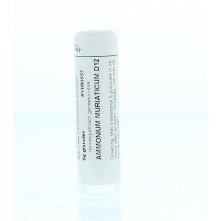Ammonium muriaticum D12 van Homeoden Heel