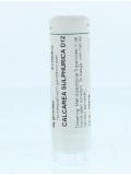Calcarea sulphurica D12 van Homeoden Heel
