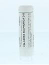 Calcarea sulphurica D12 van Homeoden Heel