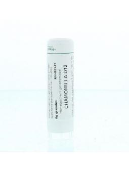 Causticum D6 van Homeoden Heel