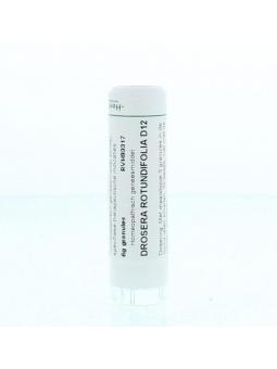 Colchicum autumnale D30 van Homeoden Heel