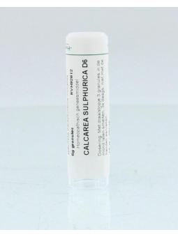 Gelsemium sempervirens D30 van Homeoden Heel