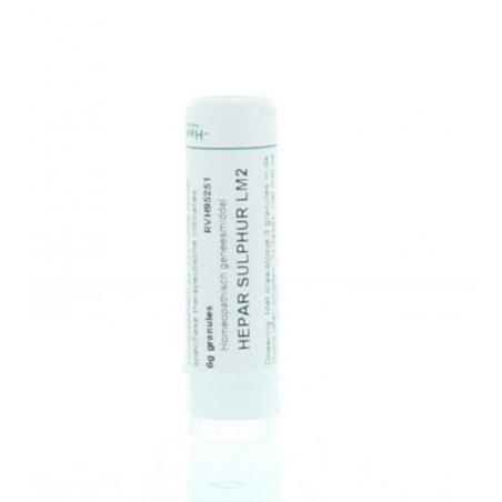 Hepar sulphur LM2 van Homeoden Heel
