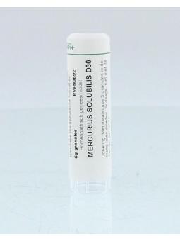 Apis mellifica D6 van Homeoden Heel