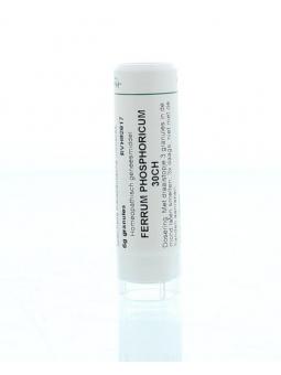 Nux vomica D6 van Homeoden Heel