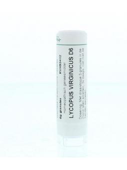 Arnica montana D30 van Homeoden Heel
